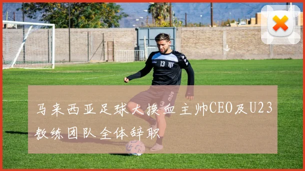 马来西亚足球大换血主帅CEO及U23教练团队全体辞职