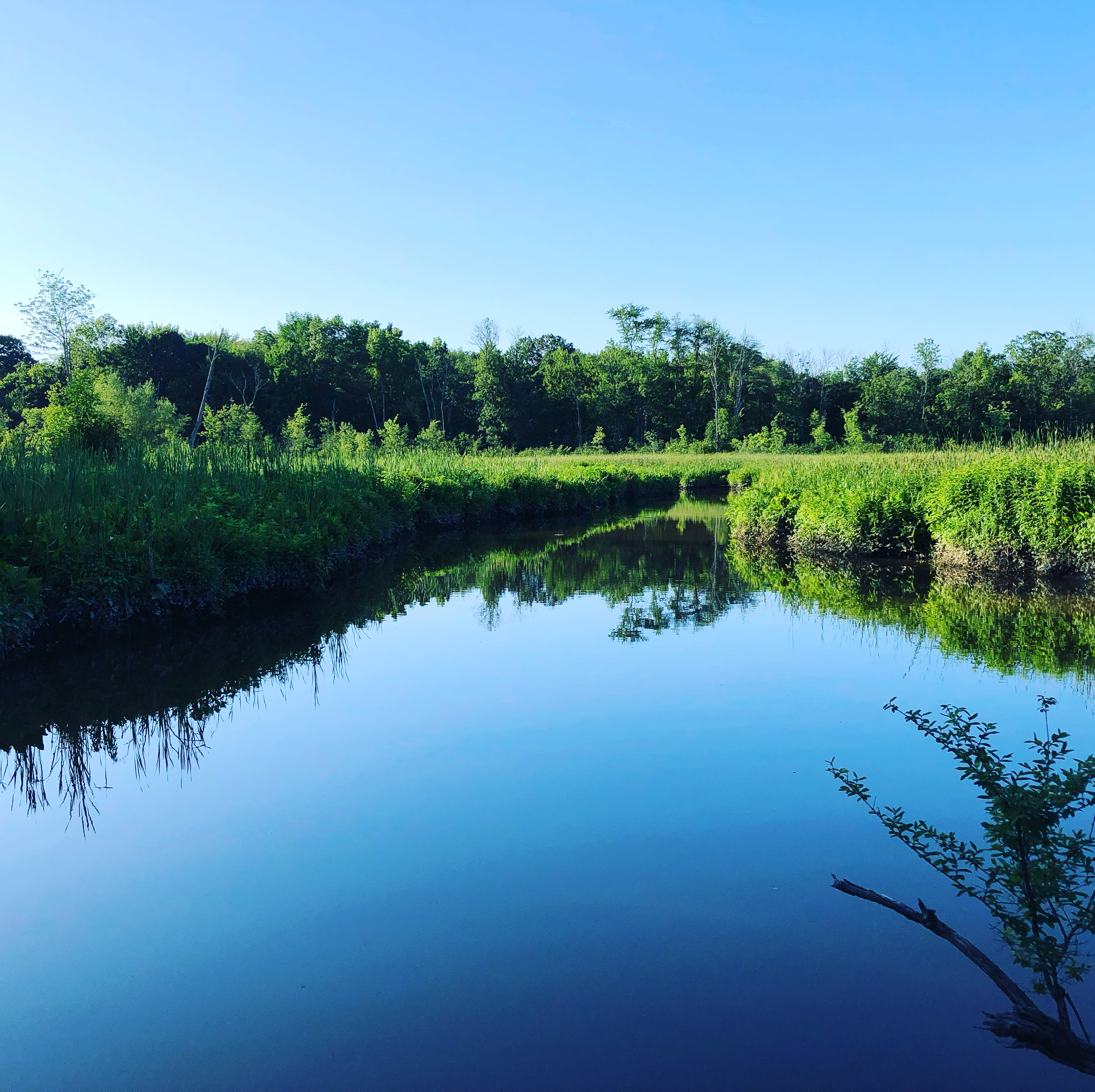 26A26659-AEEC-4C8E-8A74-1D08C4162226